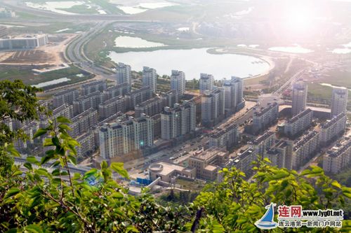 連云港西墅村 特色產業(yè)讓 小漁村 變 小康村