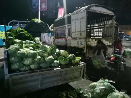 川祖廟農(nóng)貿(mào)市場整體搬遷，京投果蔬農(nóng)副產(chǎn)品批發(fā)市場引領忠縣商貿(mào)流通業(yè)轉(zhuǎn)型升級